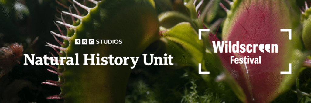 BBC Studios Natural History Unit logo and Wildscreen Festival logo laid on a background of lush vegtation imagery